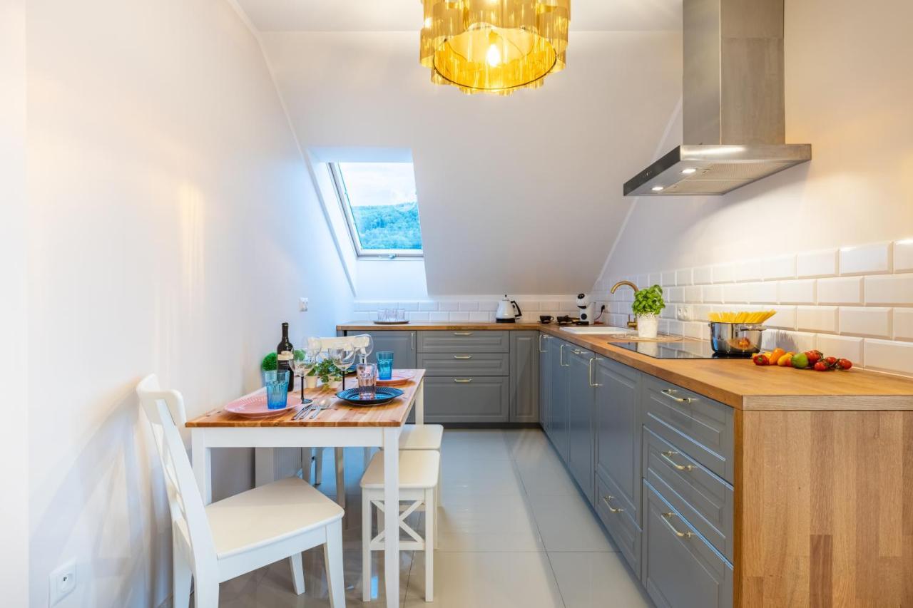 Apartament Kasztelan II Ustrzyki Dolne Buitenkant foto