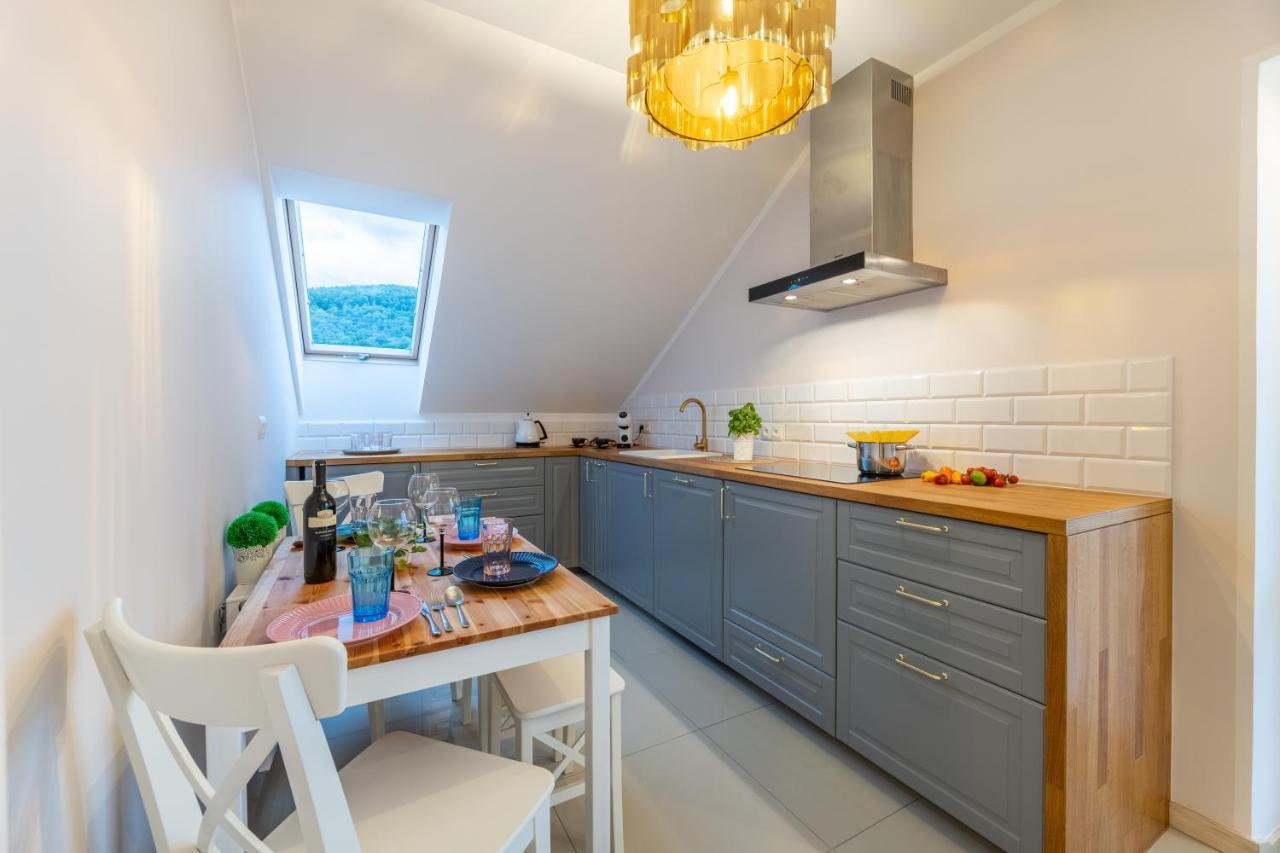 Apartament Kasztelan II Ustrzyki Dolne Buitenkant foto
